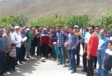 گزارش تصویری از همایش پیاده روی کارکنان در 22 اردیبهشت ماه 